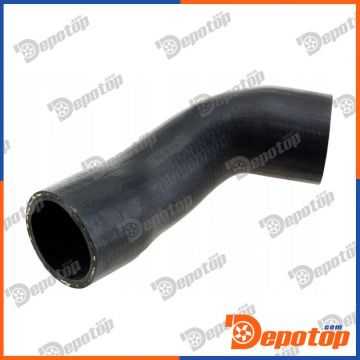 Gaine de suralimentation pour FORD | 85228, 30098SIL