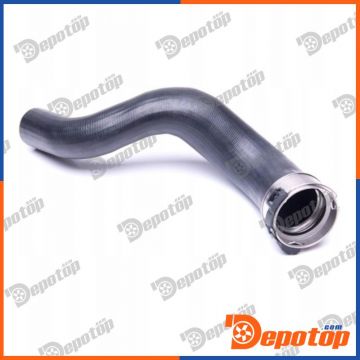 Gaine de suralimentation pour RENAULT | 09-1302, 09-1303