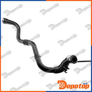 Gaine de suralimentation pour RENAULT | 09-0088, 13000