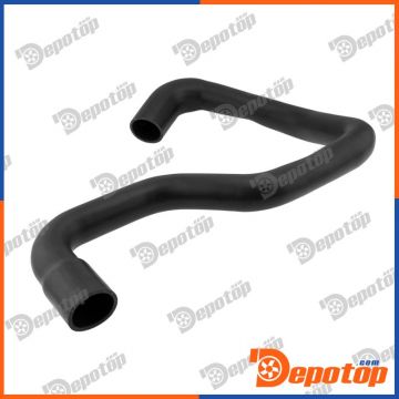 Gaine de suralimentation pour RENAULT | 001-10-24117, 026837