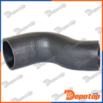 Gaine de suralimentation pour FIAT | 700338, BTH1043