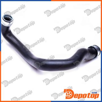 Gaine de suralimentation pour MERCEDES-BENZ | 0011027667, 053369