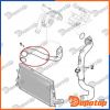 Gaine de suralimentation pour ALFA ROMEO | 43SKV187, GPP-AR-026